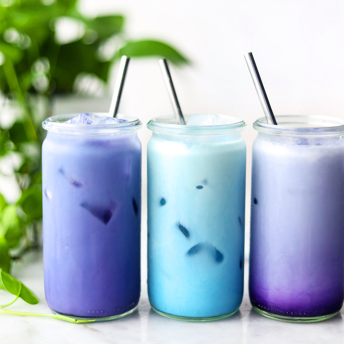 Suncore Foods Butterfly Pea Flowers Latte