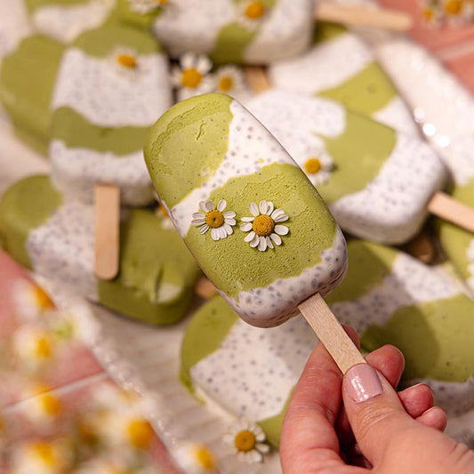 Suncore Foods Coconut Pandan Matcha Chia Seed Popsicles