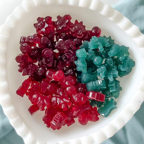 Homemade Fruit Snacks