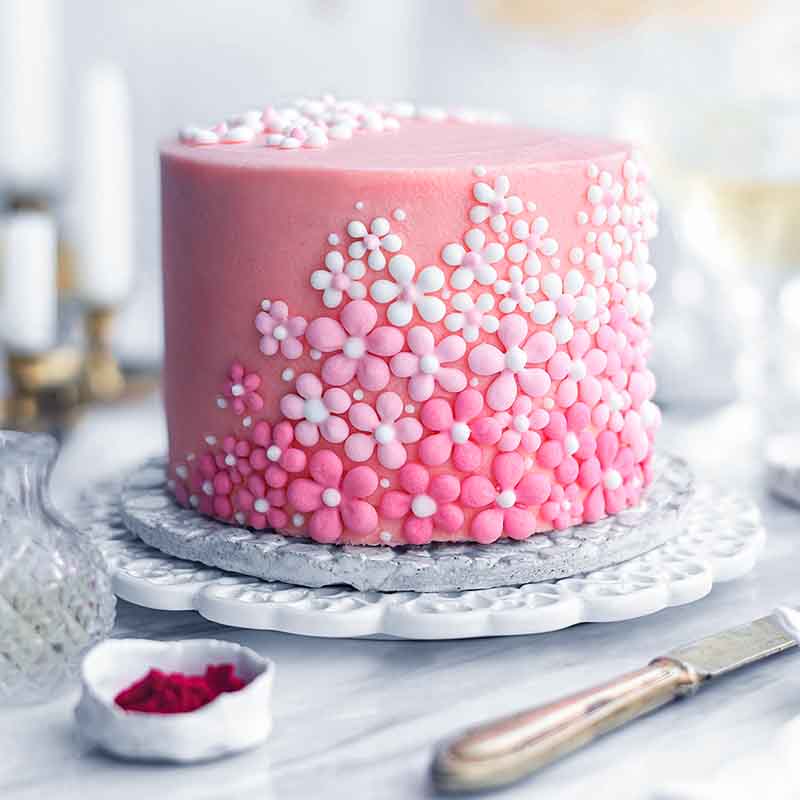 Suncore Foods Lemon Beet & Ruby Red Radish Buttercream Vanilla Cake