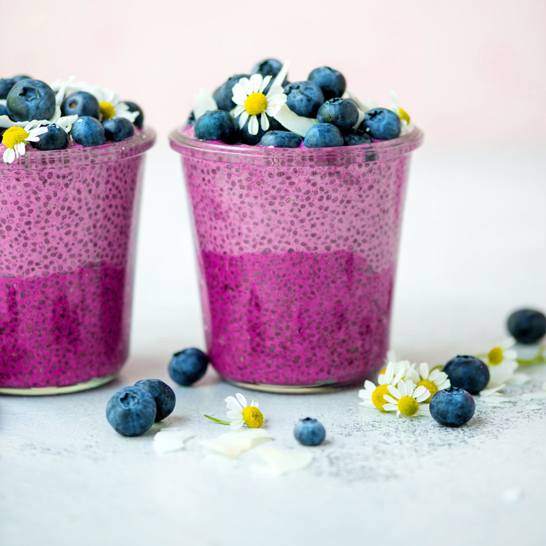 Suncore Foods Pitaya Ombre Chia Pudding